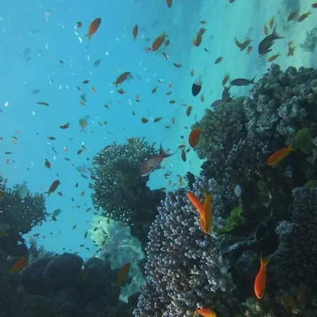 Dimora Masaccio 게스트하우스 *