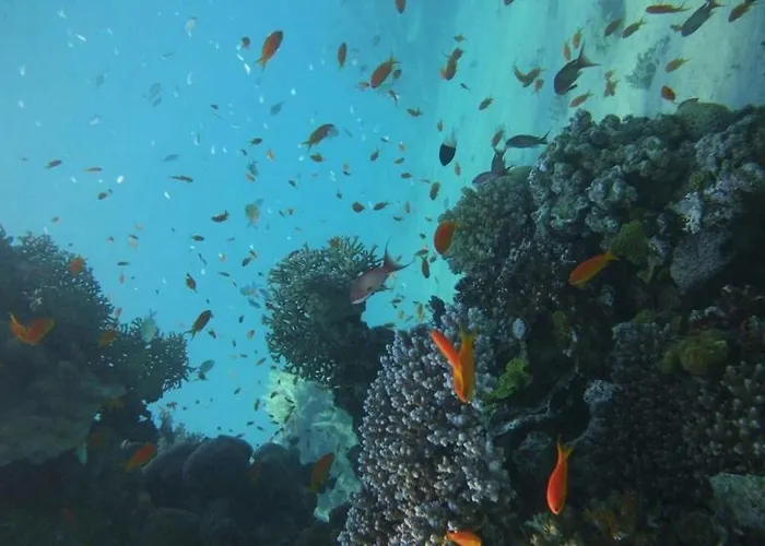 Dimora Masaccio Casa de hóspedes *